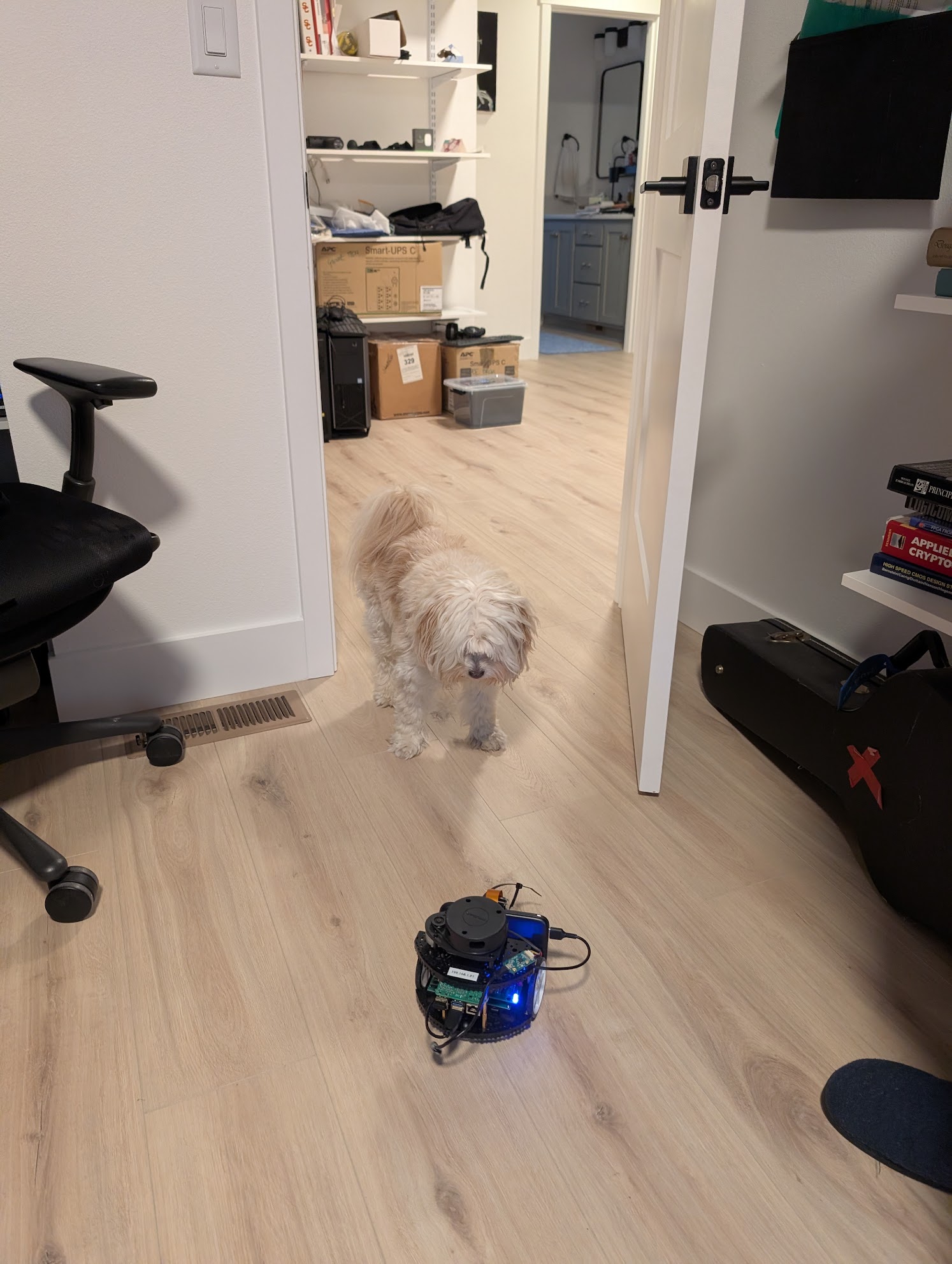 Final project presentation