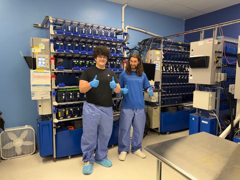 InVivo Biosystems Logo